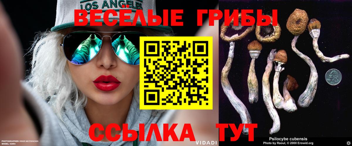 Аксай  Псилоцибиновые грибы Magic Shrooms  Вход с VPN 