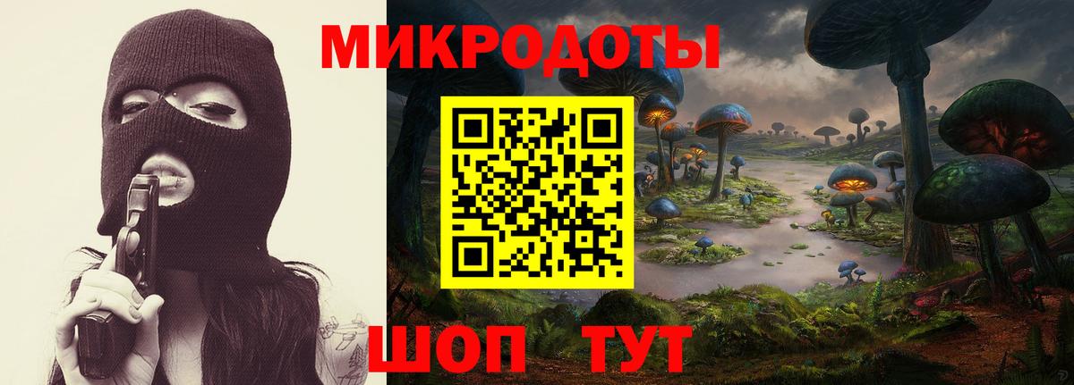 Псилоцибиновые грибы Cubensis Аксай